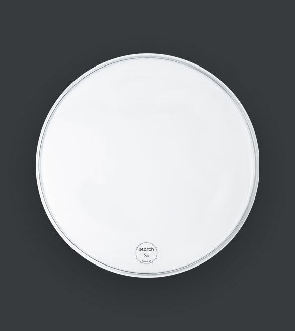 Search S10 clear drumhead