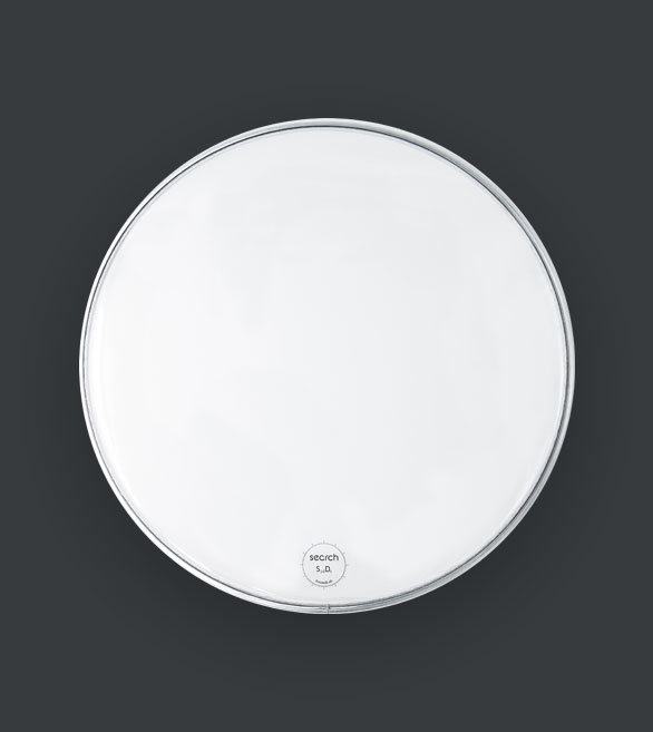 Search S10D5 clear drumheads